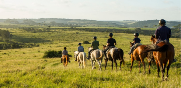 Rustenburg Sunset Horseback Safari